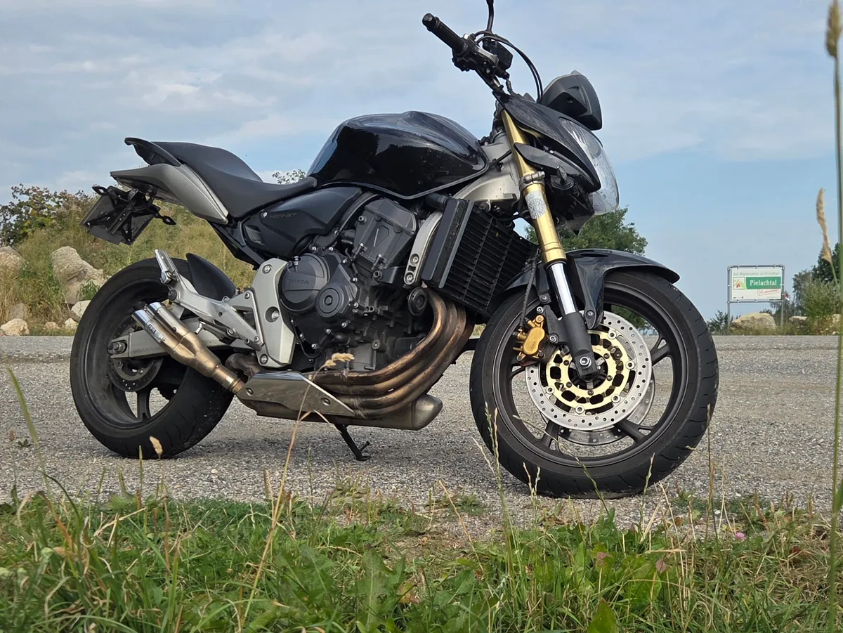 Honda Hornet