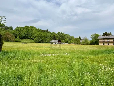 Grundstück kaufen in Klagenfurt Land – 2 384 m² – Bild 3 von 5