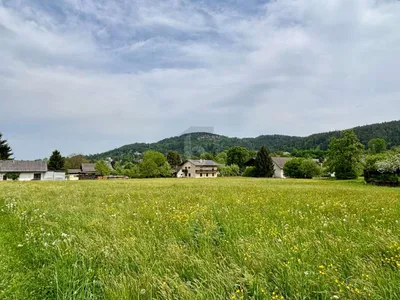 Grundstück kaufen in Klagenfurt Land – 2 384 m² – Bild 4 von 5