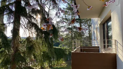 Wohnung kaufen in Baden – 69 m², € 299.000 – Bild 8 von 31