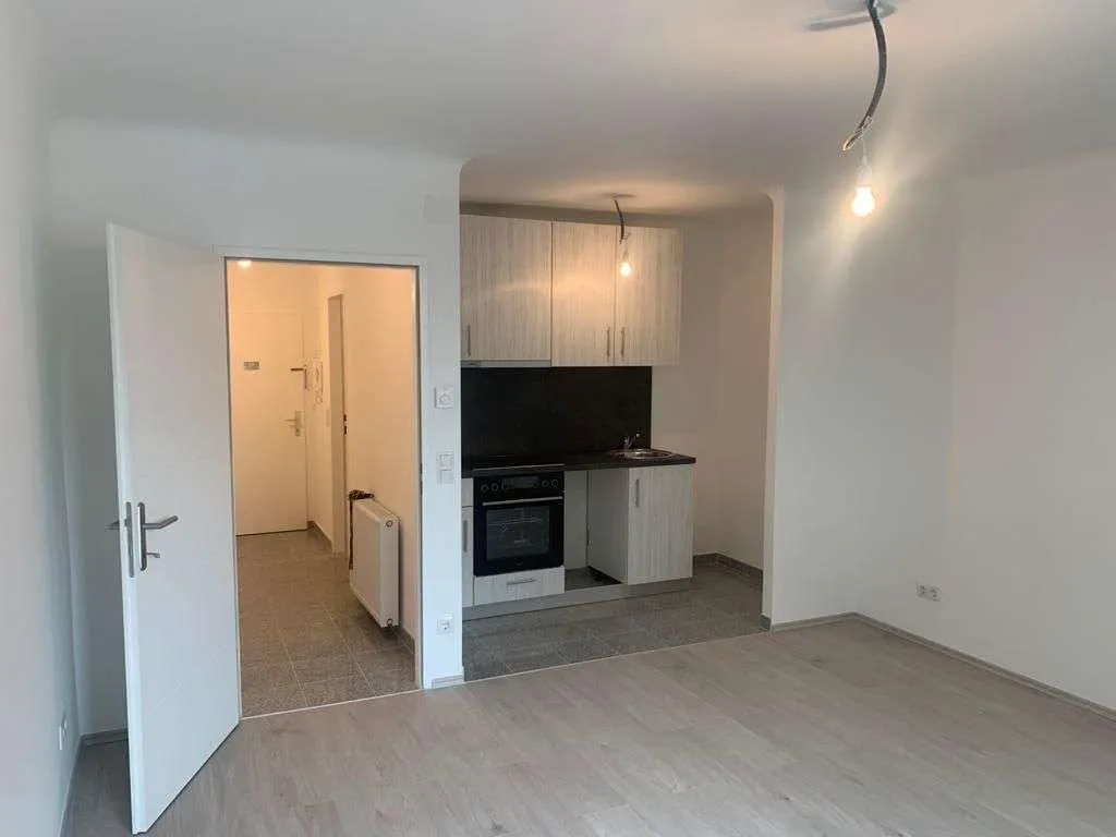 1 Zimmer Wohnung im 5. Bezirk zu vermieten, 33 m², € 699,09, (1050 Wien