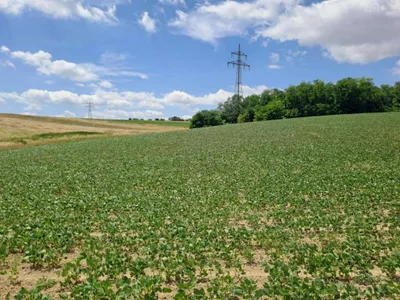 Grundstück kaufen in Bruck an der Leitha – 37 000 m²
