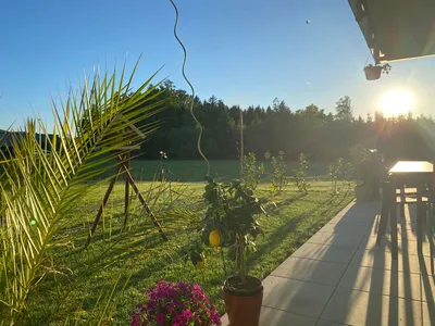 Wohnung zum Kauf in 4861 Vöcklabruck