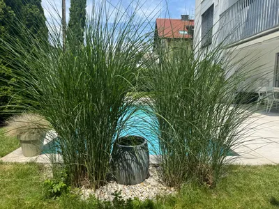 5-Zimmer-Wohnung kaufen in Salzburg Stadt – 146 m², € 1.790.000 – Bild 3 von 14