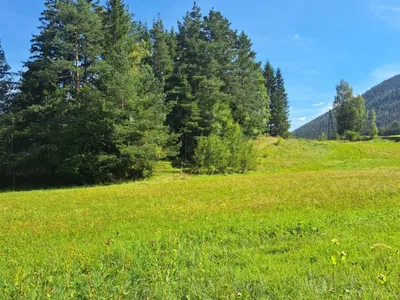 Grundstück kaufen in Wiener Neustadt Land – 15 304 m², € 295.000 – Bild 8 von 9