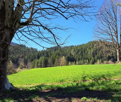 Grundstück kaufen in Wiener Neustadt Land – 15 304 m², € 295.000 – Bild 3 von 9