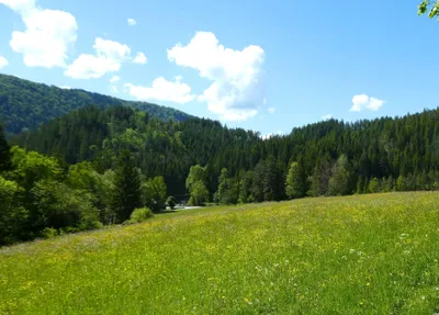 Grundstück kaufen in Wiener Neustadt Land – 15 304 m², € 295.000 – Bild 2 von 9