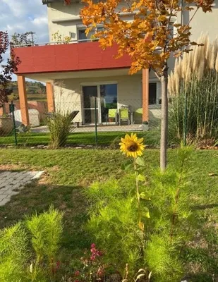 3-Zimmer-Wohnung mieten in Neusiedl am See – 73 m², € 860 – Bild 1 von 14
