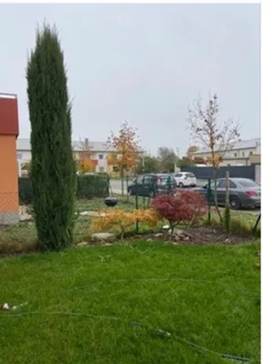 3-Zimmer-Wohnung mieten in Neusiedl am See – 73 m², € 860 – Bild 3 von 14