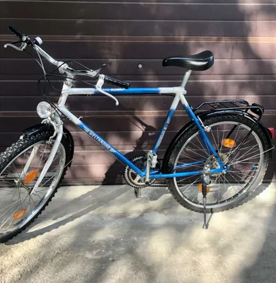 fahrrad handschuhe winter wasserdicht HIKENTURE Winterhandschuhe, Herren Damen, Winddichte Skihandschuhe Fahrradhandschuhe mit Langlauf Gel Gepolstert Männer Frauen, für Outdoor -Gelbgrün M Fashion Model_Multivan V The SparklyPets Premium Dog Größe:one size