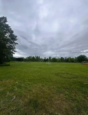 Gewerbeimmobilie kaufen in Neunkirchen – 10 662 m², € 2.500.000 – Bild 4 von 12