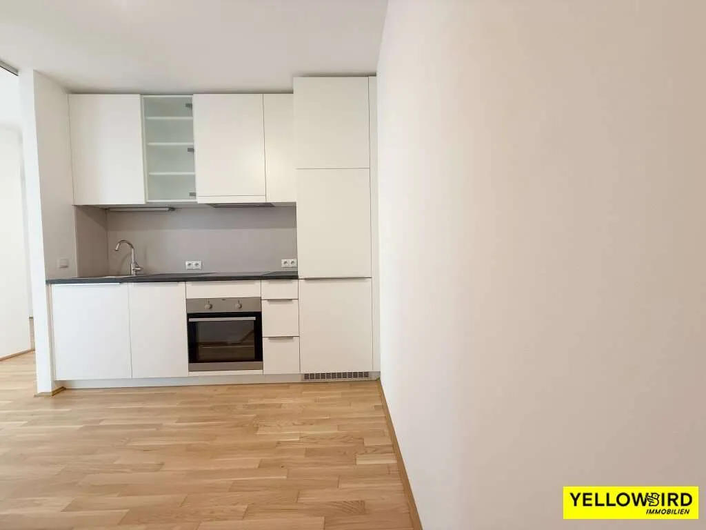 Große Fenster | Fußbodenheizung | Tischler Möbel - Ansicht 3