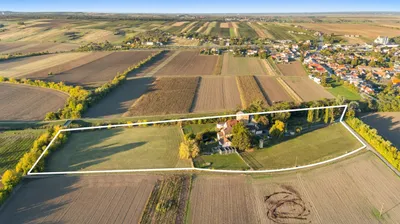5-Zimmer-Haus kaufen in Gänserndorf – 235 m² – Bild 5 von 9