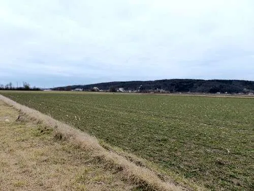 GEWERBEGRUND IN SIZENBERG-REIDLING IM BAURECHT - Ansicht 3