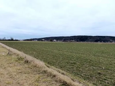 Immobilie kaufen in Tulln – 15 000 m² – Bild 3 von 7