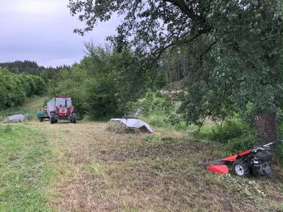 Immobilie kaufen in Freistadt – 12 000 m², € 150.000 – Bild 26 von 27