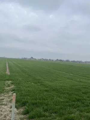 Grundstück kaufen in Gänserndorf – 1 m² – Bild 1 von 2