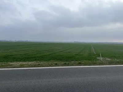 Grundstück kaufen in Gänserndorf – 1 m² – Bild 2 von 2