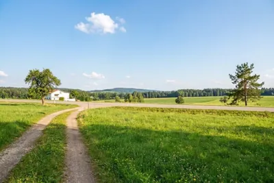 Immobilie kaufen in Ried im Innkreis – 4 586 m² – Bild 3 von 7