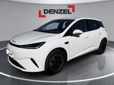 BYD Dolphin G