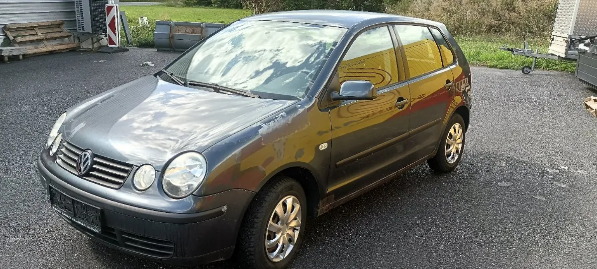 VW Polo