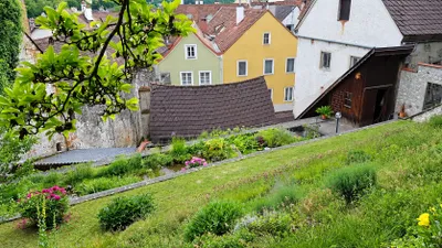 2-Zimmer-Wohnung mieten in Steyr – 64 m², € 630 – Bild 13 von 15