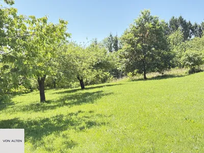 10-Zimmer-Immobilie kaufen in Südoststeiermark – 338 m², € 995.000 – Bild 13 von 39