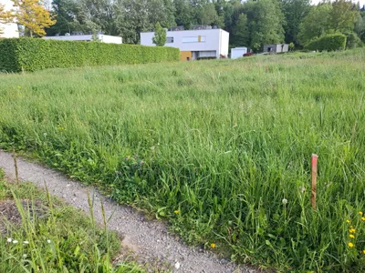 Grundstück kaufen in Grieskirchen – 614 m², € 107.000 – Bild 1 von 2
