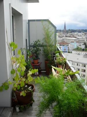 1-Zimmer-Wohnung mieten in Linz – 38 m², € 595 – Bild 7 von 16