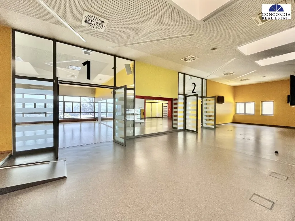Erstklassige Gewerbe-, Sport- oder Praxisfläche im Multiversum Schwechat - Ansicht 3