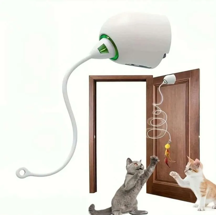 hunde trockenfutter senior Trockenfutter getreidefrei SeniorBeste Wahl fr ltere Hunde  Pet Cuisine