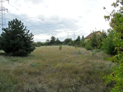 Grundstück kaufen in Mistelbach – € 48.400 – Bild 2 von 10