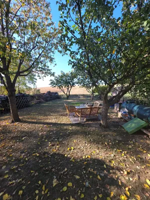 Immobilie kaufen in Hollabrunn – 548 m², € 44.500 – Bild 14 von 14