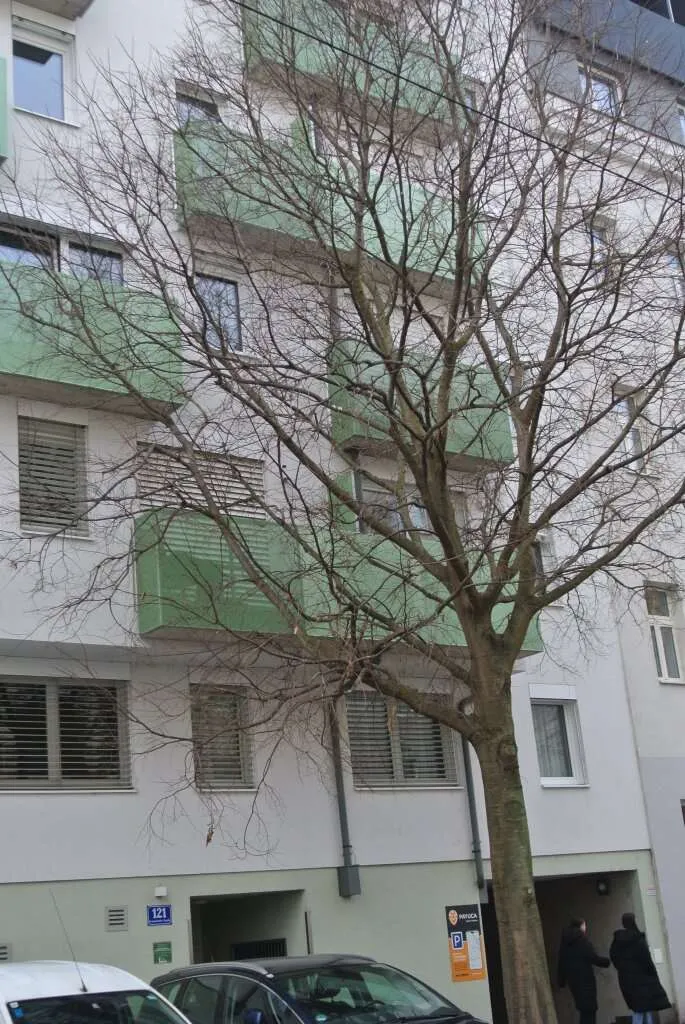 ANLAGE- Smart CITY Living - Top Anlage mit Ausblick- Top Öffentliche Anbindung - Ansicht 3