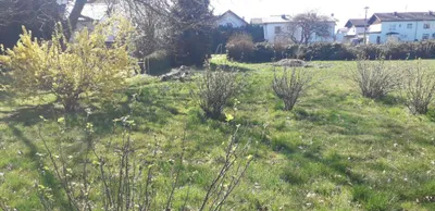 Grundstück kaufen in Braunau am Inn – 967 m², € 229.000 – Bild 3 von 6