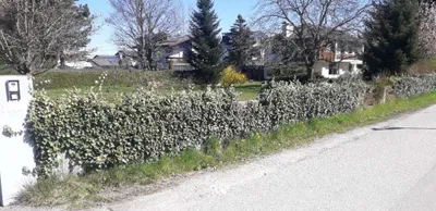 Grundstück kaufen in Braunau am Inn – 967 m², € 229.000 – Bild 6 von 6