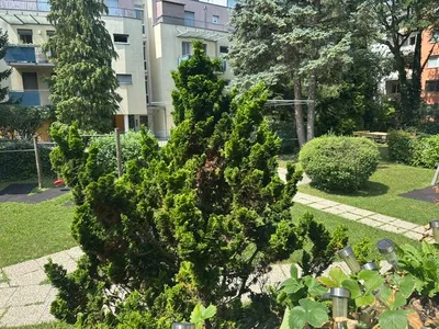 3-Zimmer-Wohnung kaufen in Graz – 71 m², € 250.000 – Bild 2 von 12