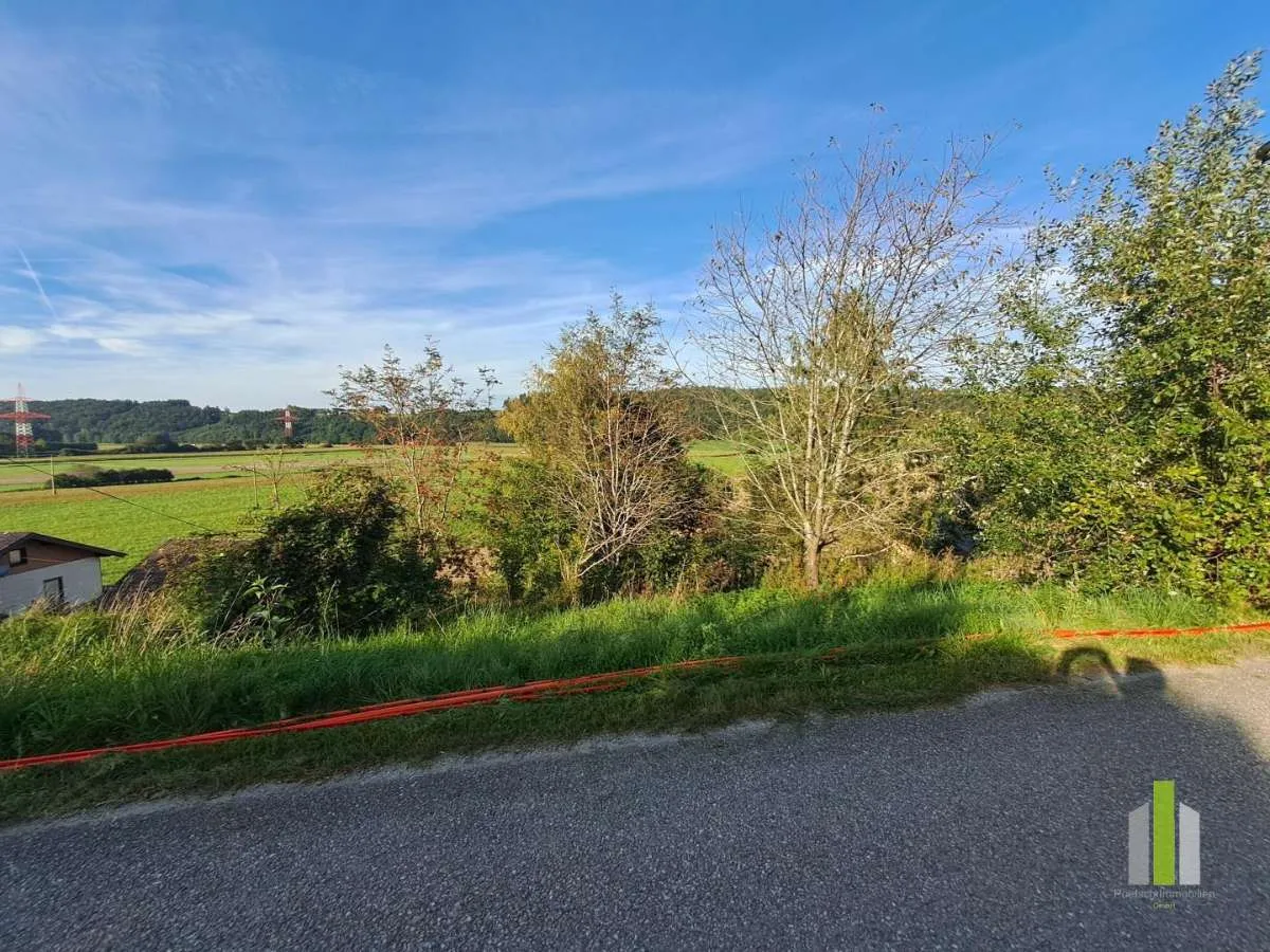 Hanggrundstück in ruhiger Lage - Vista 3