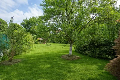 Grundstück kaufen in Wien – 969 m², € 680.000 – Bild 6 von 9