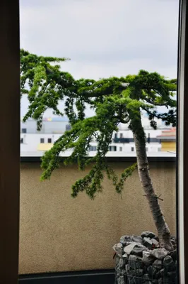 3-Zimmer-Wohnung kaufen in Wien – 128 m², € 798.000 – Bild 15 von 19