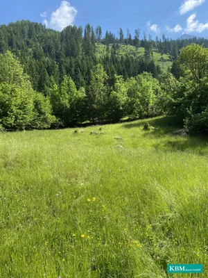 Immobilie kaufen in Spittal an der Drau – 3 121 m², € 250.000 – Bild 3 von 6
