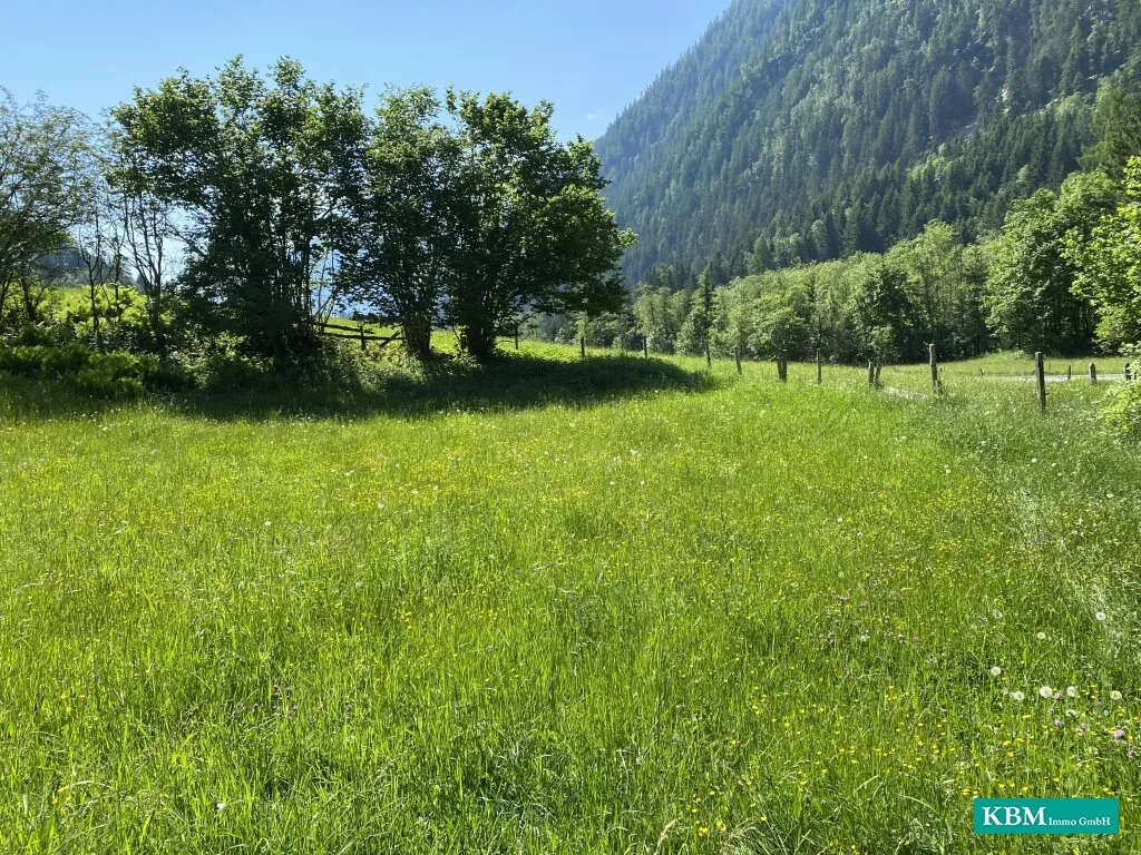 Grundstück in TOP Lage Nähe Mölltaler Gletscher - Ansicht 2