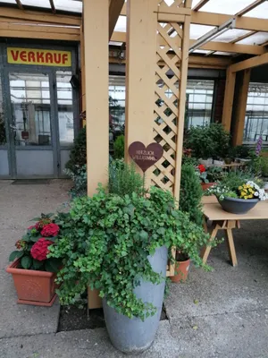Immobilie kaufen in Leibnitz – 450 m², € 880.000 – Bild 13 von 72
