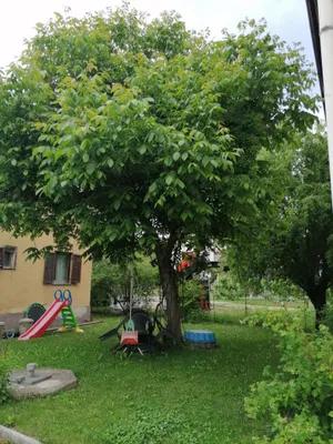Immobilie kaufen in Leibnitz – 450 m², € 880.000 – Bild 28 von 72