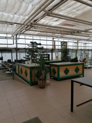 Immobilie kaufen in Leibnitz – 450 m², € 880.000 – Bild 14 von 72