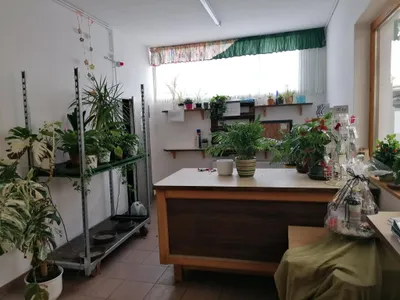 Immobilie kaufen in Leibnitz – 450 m², € 880.000 – Bild 17 von 72