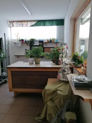 Immobilie kaufen in Leibnitz – 450 m², € 880.000 – Bild 16 von 72