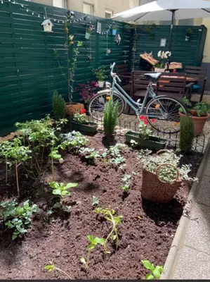 2-Zimmer-Wohnung kaufen in Wien – 53 m², € 279.000 – Bild 1 von 16