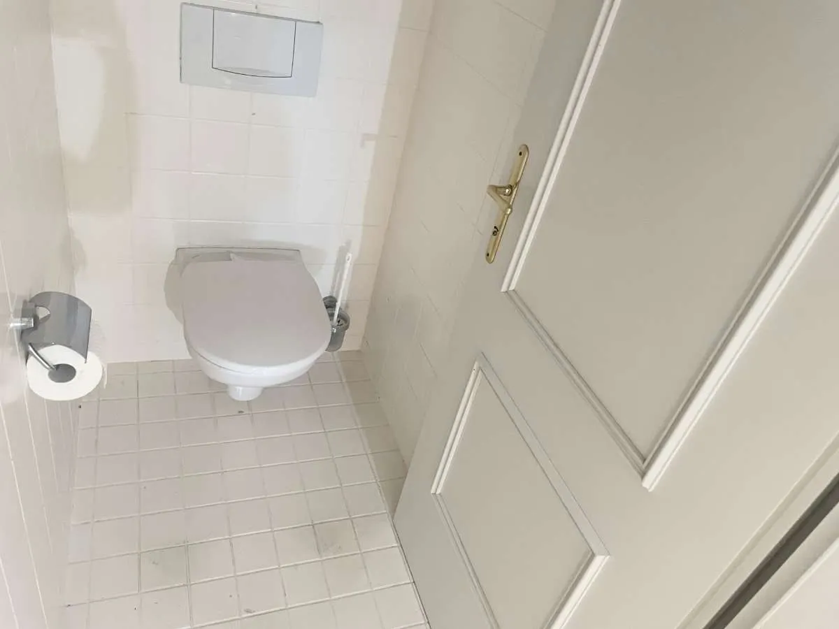 Geräumige Dachgeschoßwohnung in der Grazer Innenstadt zu mieten! - Ansicht 3