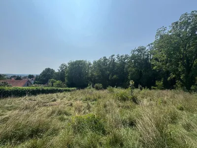 Grundstück kaufen in Hartberg-Fürstenfeld – 4 151 m², € 149 – Bild 8 von 13